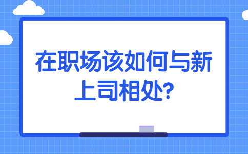 安徽职场资讯