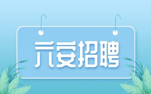 六安市裕安区2024年度选调教师公告